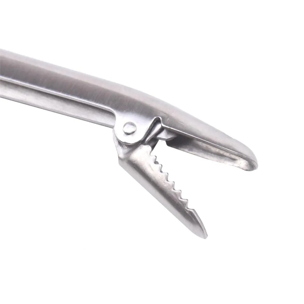 SANLIKE สแตนเลสตกปลา Lip Gripp - Fishing Hook Stainless Steel บทวิจารณ์และราคา